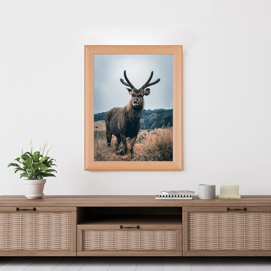Rahmendesign24 Posterrahmen Fiona 59,4x84 (DIN A1) Buche Fotorahmen, Wechselrahmen, Bilderrahmen, 59
