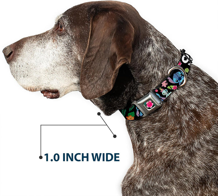 Buckle-Down dc-wdy339-l Dyer Lilo &amp; Stitch Hibiscus Flower Full Color Schwarz/Pink Hundehalsband, gr