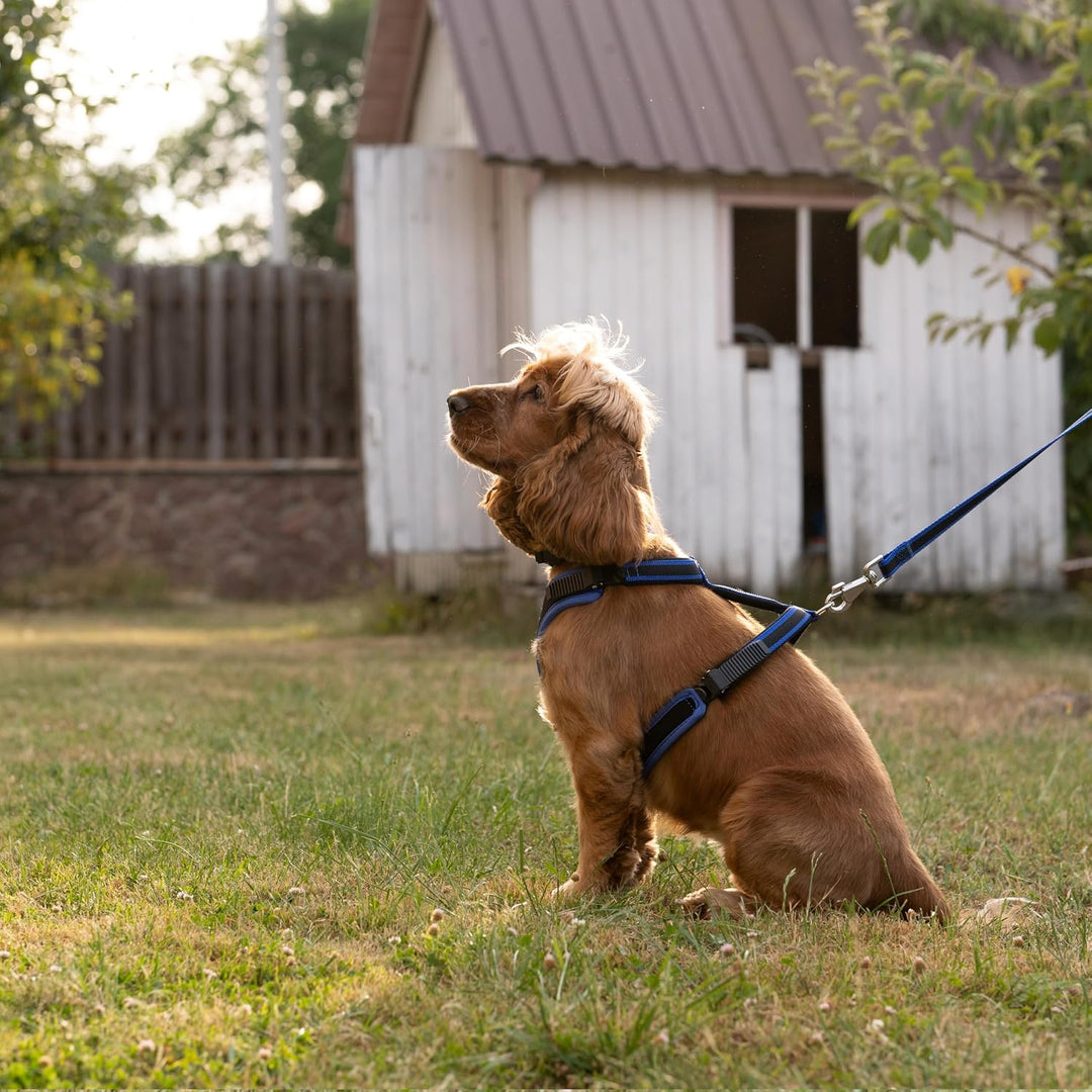 Ferplast Hundegeschirr mittlegrosse Hunde Geschirr Hunde mit Polsterung ERGOCOMFORT M, Halsumfang: 3