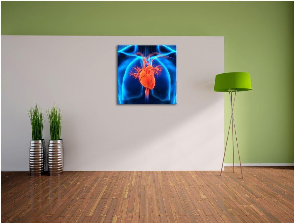 Herz des Menschen, Format: 70x70 auf Leinwand, XXL riesige Bilder fertig gerahmt mit Keilrahmen, Kun