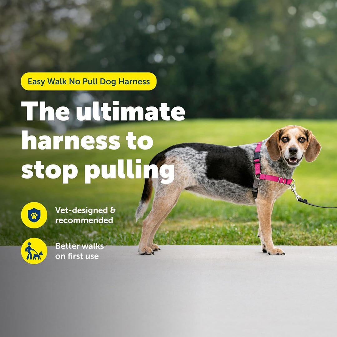 PetSafe Easy Walk Hundegeschirr. Himbeere/Grau Small/Medium, Himbeere/Grau Small/Medium