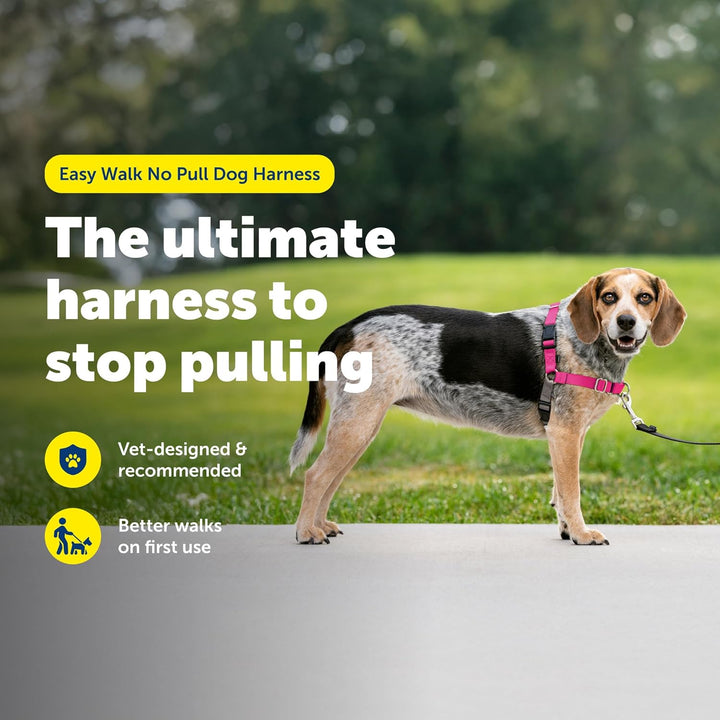 PetSafe Easy Walk Hundegeschirr. Himbeere/Grau Small/Medium, Himbeere/Grau Small/Medium