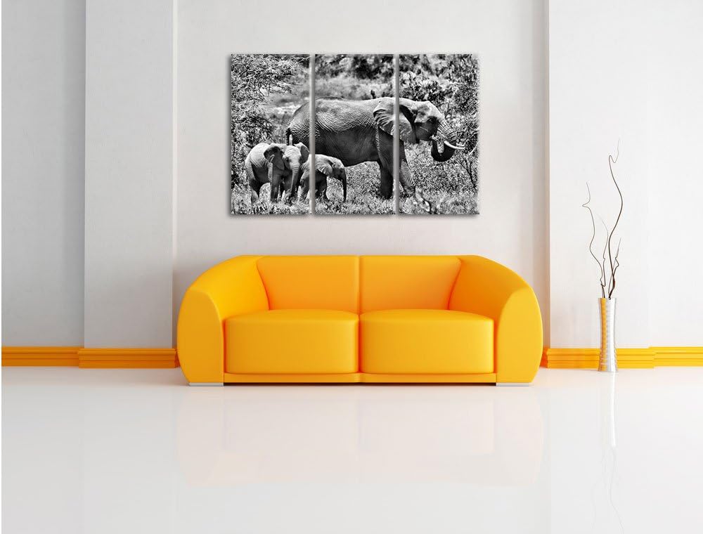 Pixxprint friedliche Elefantenfamilie als Leinwandbild/Grösse: 3 Teilig (120x80) cm/Wandbild/Kunstdr