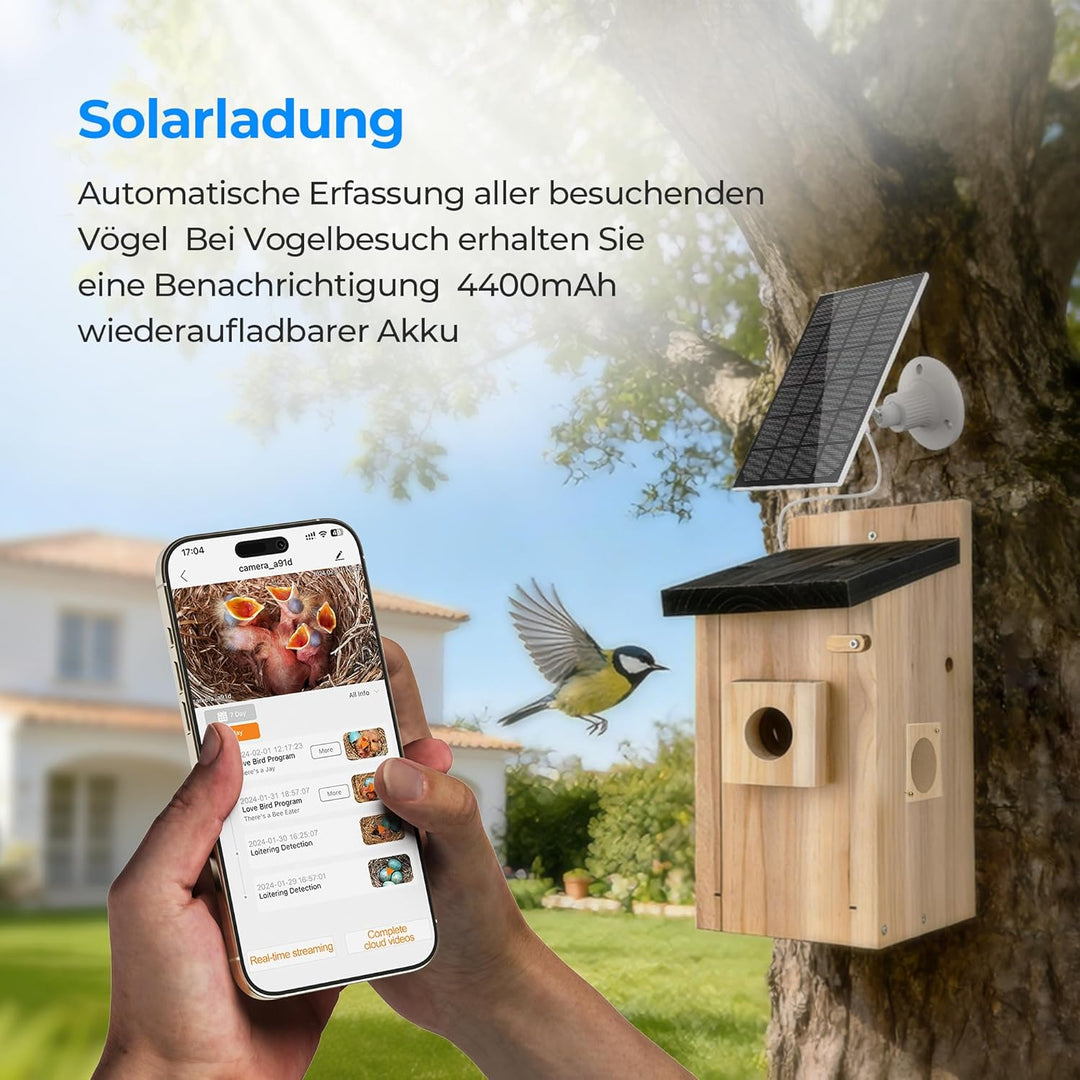 Vogelhaus mit Kamera - 400W Pixel Nistkasten mit Kamera zur Echtzeit-Beobachtung des Nestbau- und Br