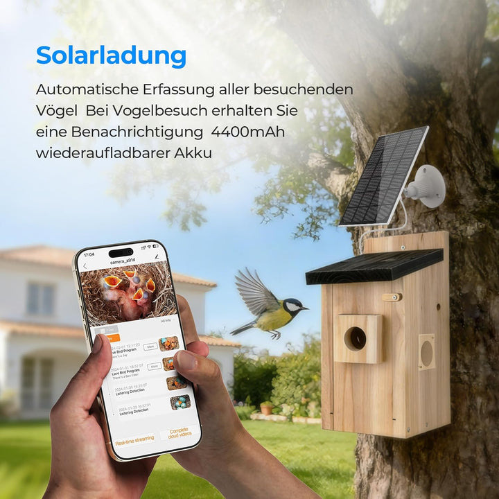 Vogelhaus mit Kamera - 400W Pixel Nistkasten mit Kamera zur Echtzeit-Beobachtung des Nestbau- und Br
