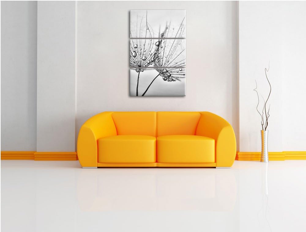 Pixxprint Monocrome, Pusteblumen mit Tautropfen 3-Teiler Leinwandbild 120x80 Bild auf Leinwand