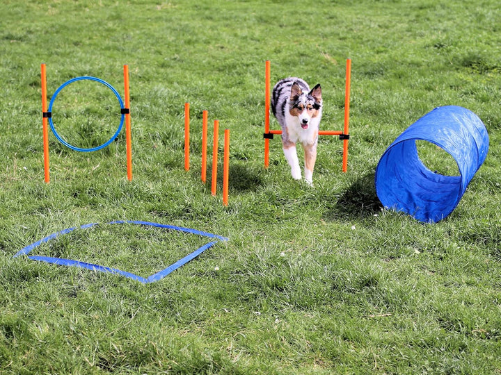Agility Dog Trainings Set X Tunnel-Sprungring-Hürden-Slalom-Stangen für Hunde