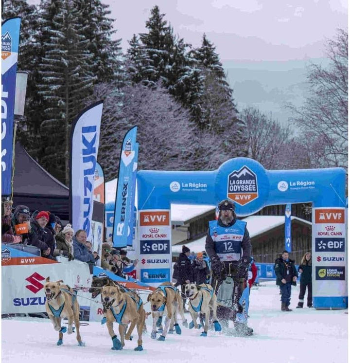 Inlandsis Canicross Wettkampfgeschirr Blizzard Beast XXL rot, XXL rot