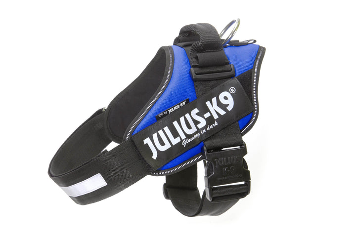 Julius K9 Hundegeschirr, Brustgeschirr reflektierend Hunde Geschirr mit personalisiertes Geschenk, b
