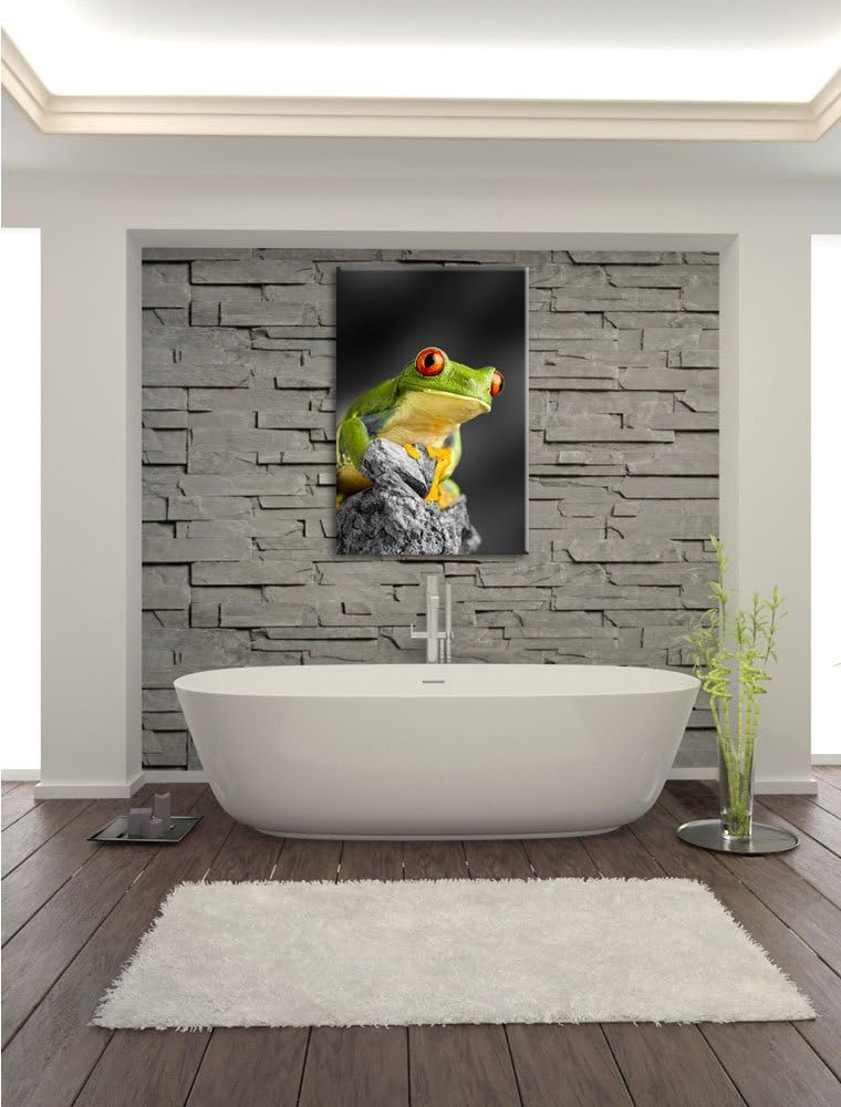 schöner Rotaugen Frosch schwarz/weiss Format: 100x70 auf Leinwand, XXL riesige Bilder fertig gerahmt