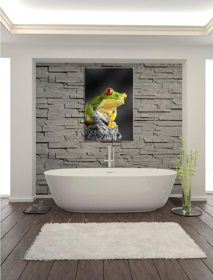 schöner Rotaugen Frosch schwarz/weiss Format: 100x70 auf Leinwand, XXL riesige Bilder fertig gerahmt