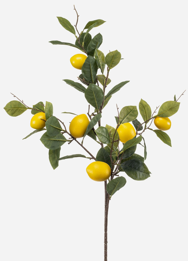artplants.de Künstlicher Zitronenzweig QUEOSHA mit Früchten, gelb, 95cm - Kunststoff Zweig