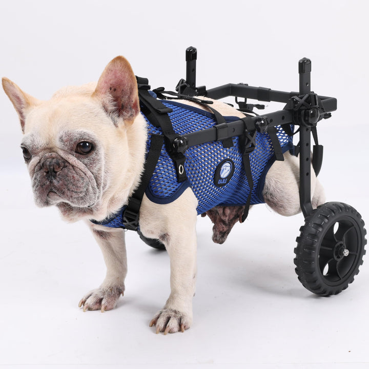 2 Rad faltbar Hund Rollstühle,kleine Haustier Hinterbein Rollstuhl,einstellbare Unterstützung Mesh-G