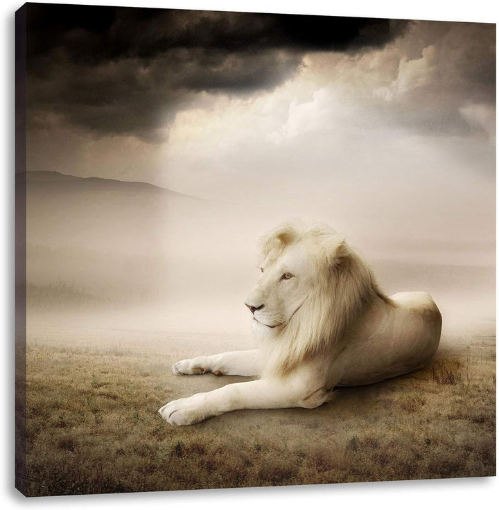 Stolzer weisser Löwenkönig, Format: 70x70 auf Leinwand, XXL riesige Bilder fertig gerahmt mit Keilra