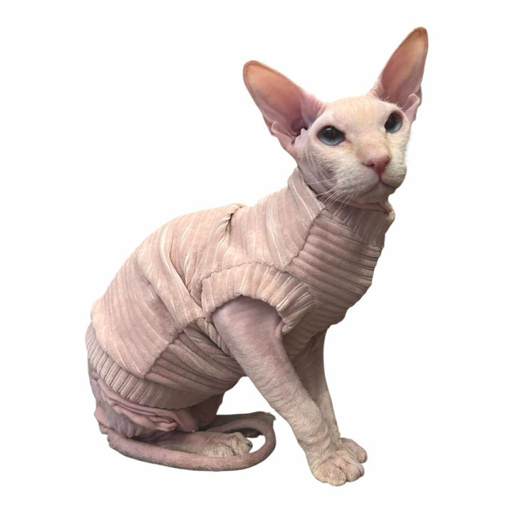 Kotomoda Katzen-T-Shirt aus Cord fьr Sphynx und nackte Katzen (groя, hautfarben) L nude, L nude