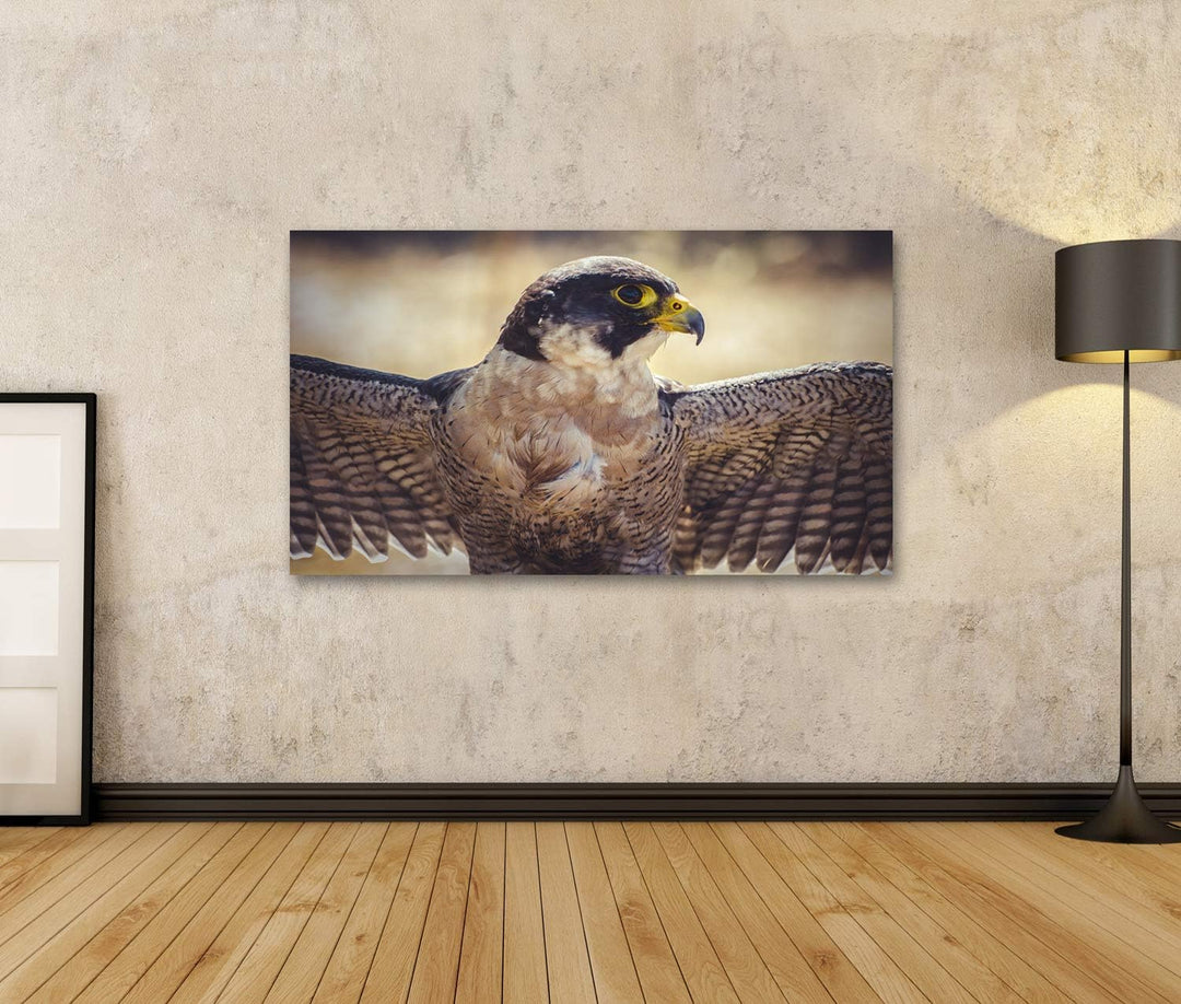 islandburner Bild auf Leinwand Wanderfalke Offene Flügel Vogel Gefieder Bilder Wandbilder Poster Lei