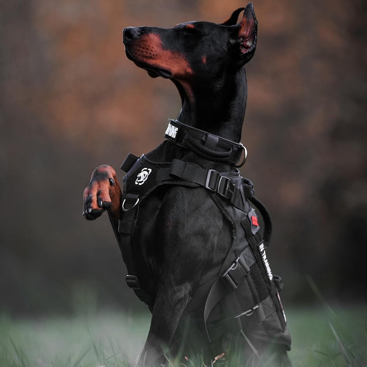 OneTigris Hundegeschirr, X Destroyer Taktisches Geschirr Hund 3 Griffe Heavy Duty Hundeweste mit Met