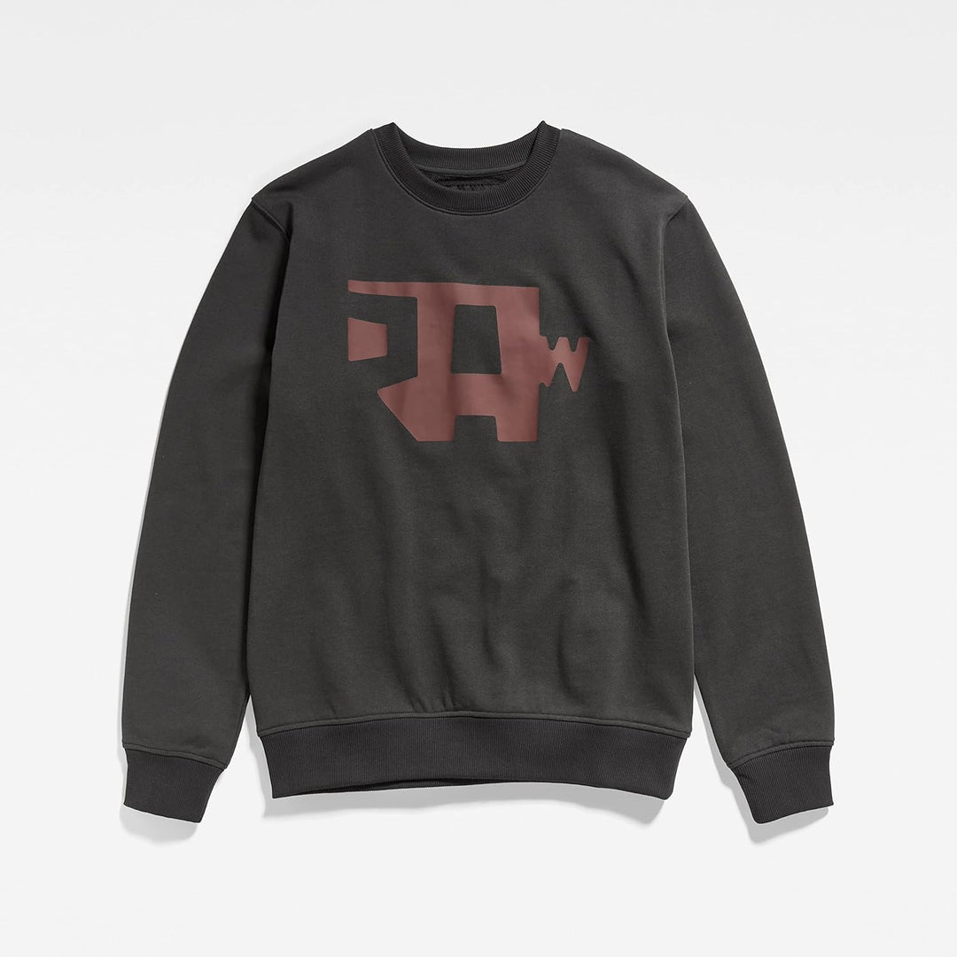 G-STAR RAW Herren Multi Colored Raw. R Sw Sweater L Grau (Cloack D22230-a613-5812), L Grau (Cloack D