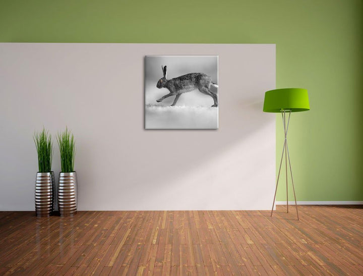 Pixxprint Springender Feldhase als Leinwandbild/Grösse: 70x70 cm/Wandbild/Kunstdruck/fertig bespannt