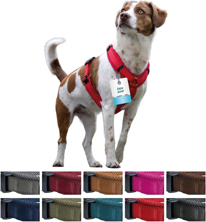 Petlando Hundegeschirr mittelgrosse Hunde, Y-Comfort mit atmungsaktivem Mesh, leicht & robust, Rot M