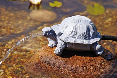 OASE 36778 Wasserspeier Schildkröte | Teichfigur | Dekoration | Wasserstrahl | Sauerstoff |