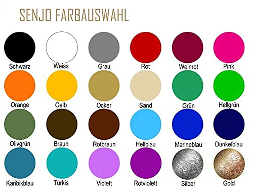 Senjo Color ® Airbrush Farben Set (Für Gesicht & Körper) Bodypainting Farben (5 x15ml) Farben: Schwa