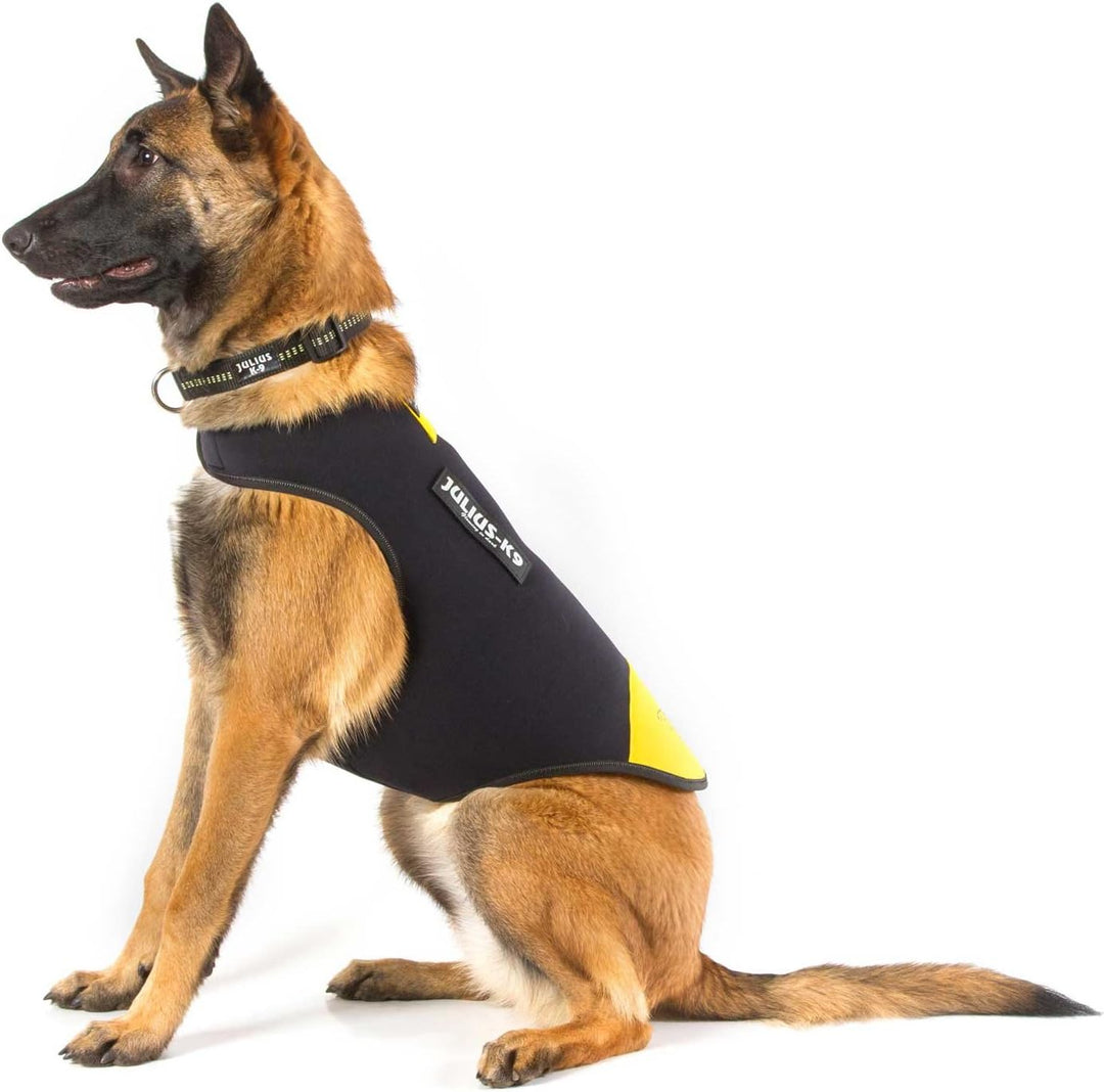 Julius-K9, IDC Neoprene Hundekleidung, Size: L, Schwarz und Gelb L Schwarz und Gelb, L Schwarz und G