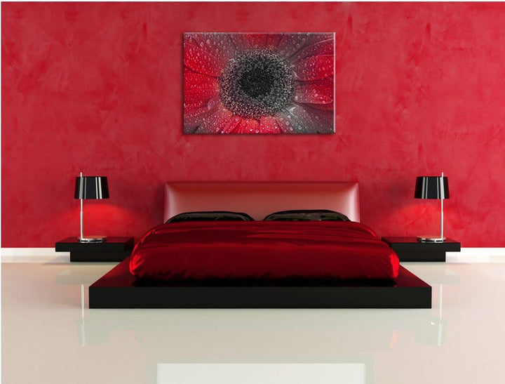 Rote Gerbera mit Wassertropfen schwarz/weiss Format: 100x70 auf Leinwand, XXL riesige Bilder fertig