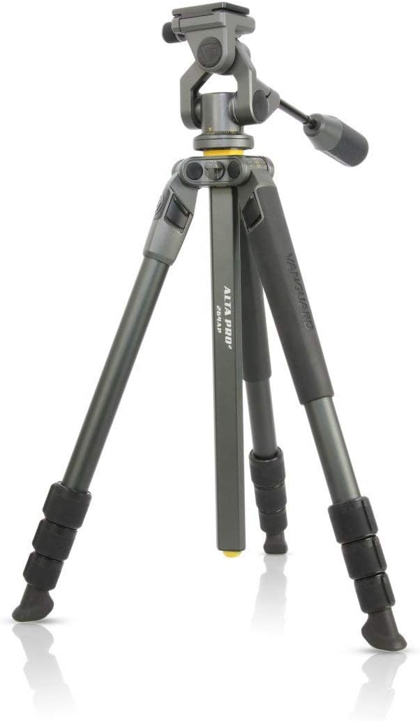 Vanguard Alta Pro, schwarz, Alta Pro 2 264AO