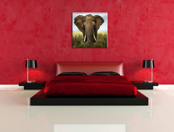 Imposanter Elefant, Format: 70x70 auf Leinwand, XXL riesige Bilder fertig gerahmt mit Keilrahmen, Ku