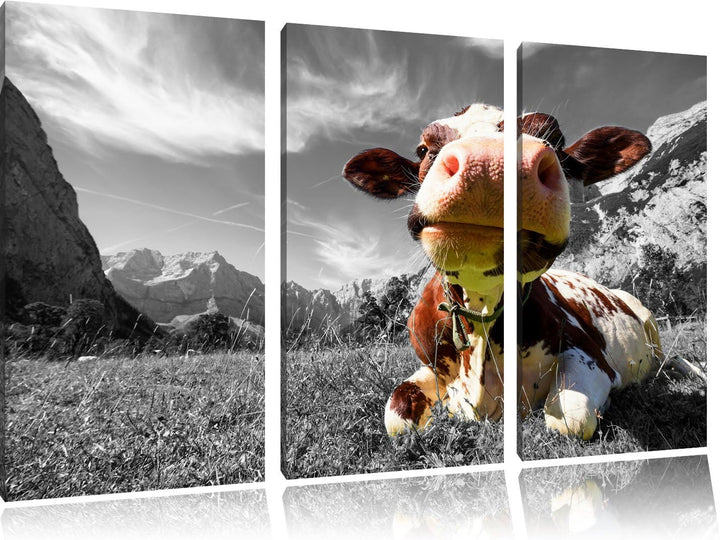 Pixxprint Kuh im Karwendelgebirge als Leinwandbild/Grösse: 3 Teilig (120x80 cm) cm/Wandbild/Kunstdru