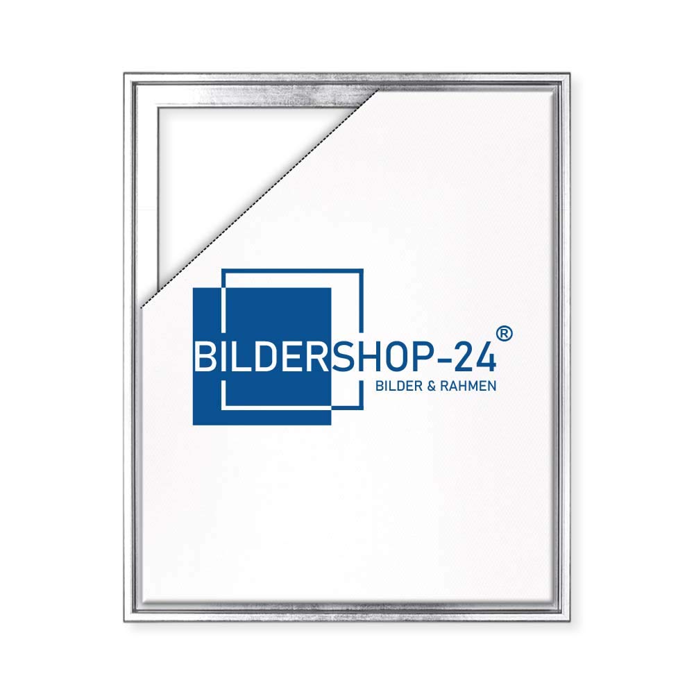 Bildershop-24 Schattenfugenrahmen LEVI 30x60cm Silberglanz Vintage, 30x60cm Silberglanz Vintage