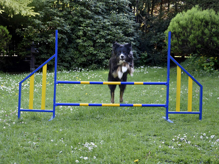 PROCYON Agility Hürde für Hunde Profi-Training-Set FCI konform Hürden Hundeport