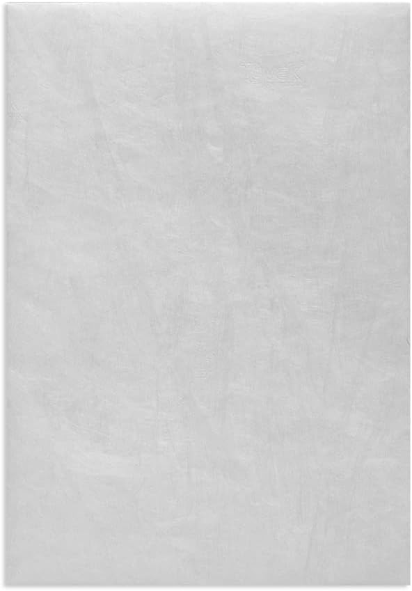 Tyvek Versandtasche C5 (229x162x3mm) haftklebend weiss 55g 100 Stück C5 (162x229 mm) Single 100 Stüc
