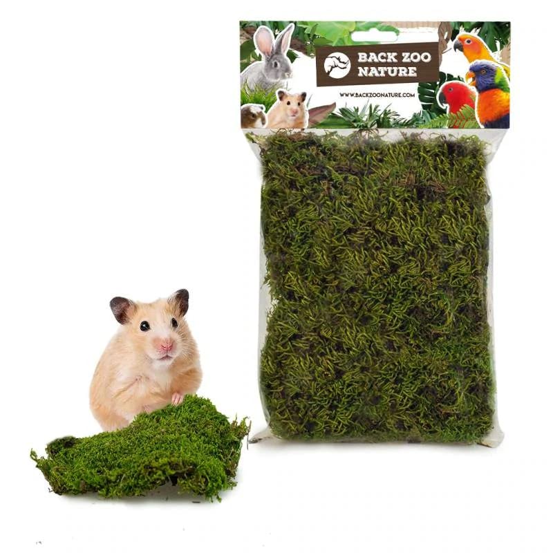 Generic Natur Waldmoos - 70 g - 100% natürliches Waldmoos - Ideal für Hamster, Ratten, Degus und Chi