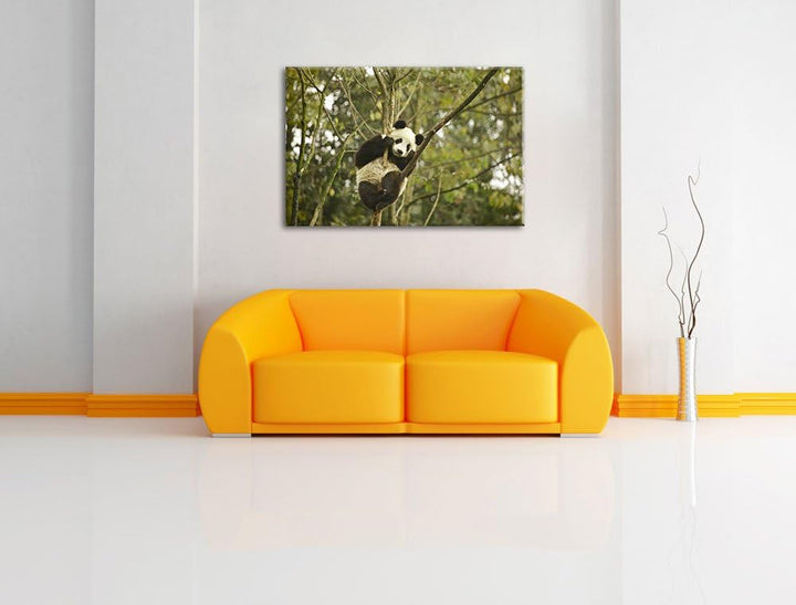 niedlicher Pandabär auf Baum Leinwand, XXL riesige Bilder fertig gerahmt mit Keilrahmen, Kunstdruck