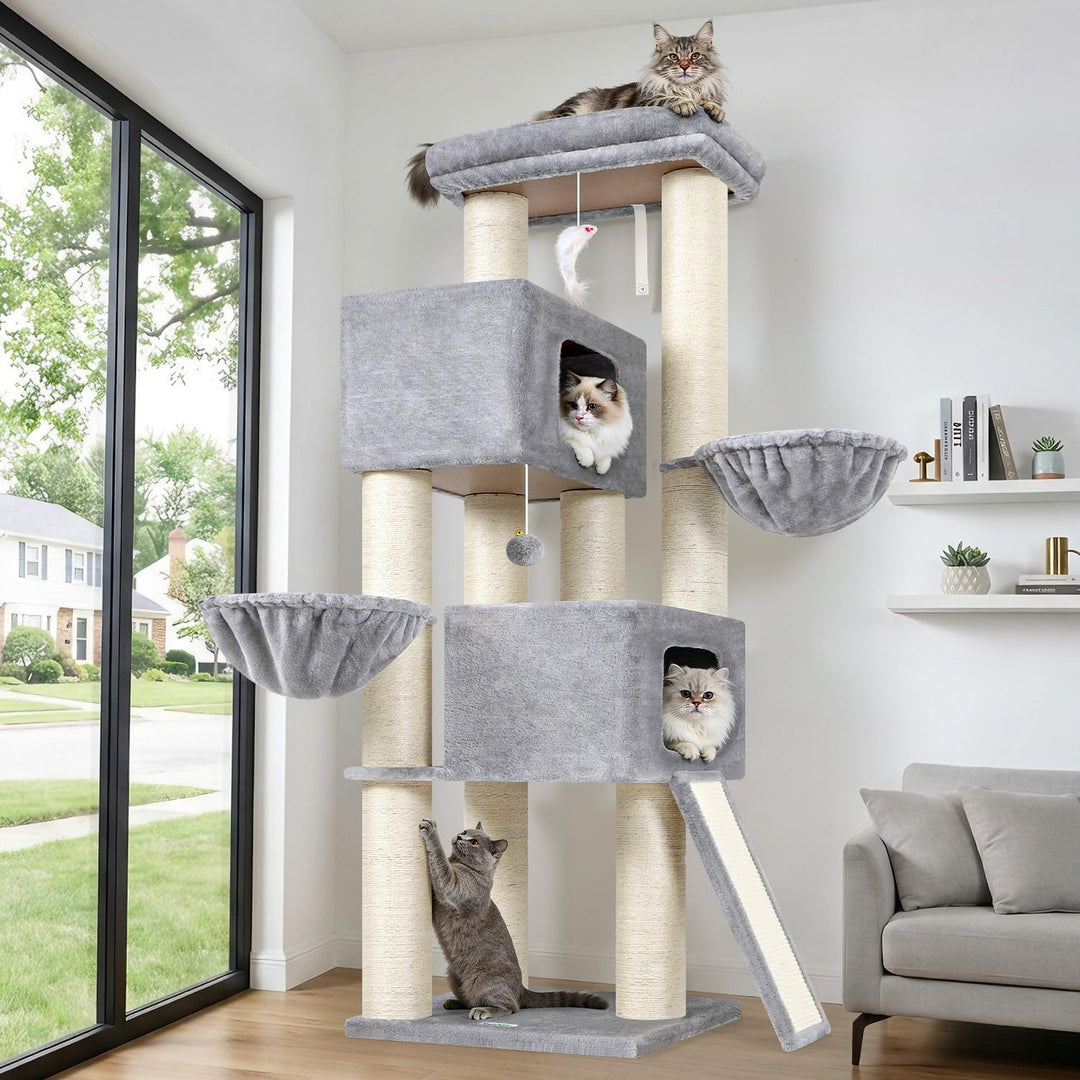 Globlazer Kratzbaum Dicke Stämme 11CM für Grosse Katzen mit 2 Extragross Katzenhaus 50*35*30cm, Ausr