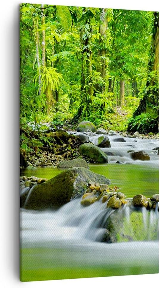 Bilder auf Leinwand Stream Wald Natur Leinwandbild mit Rahmen 45x80cm Wandbilder Dekoration Wohnzimm