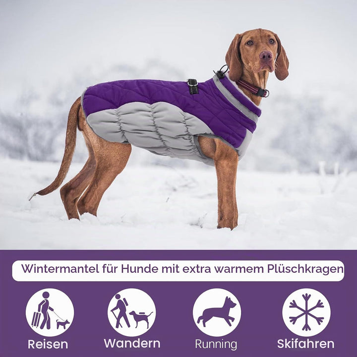 Kuoser Hundejacke Wintermantel für Mittelgrosse Hunde - Wasserdichte Winterweste Mit Geschirr - Warm
