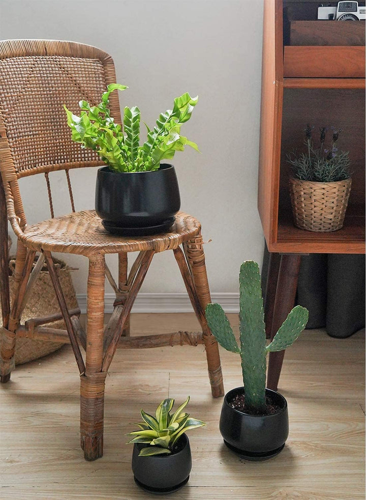 LE TAUCI 3 er Pack Übertöpfe Keramik, 10+13+16 cm Durchmesser Klein Töpfe Set, Blumentopf für Zimmer