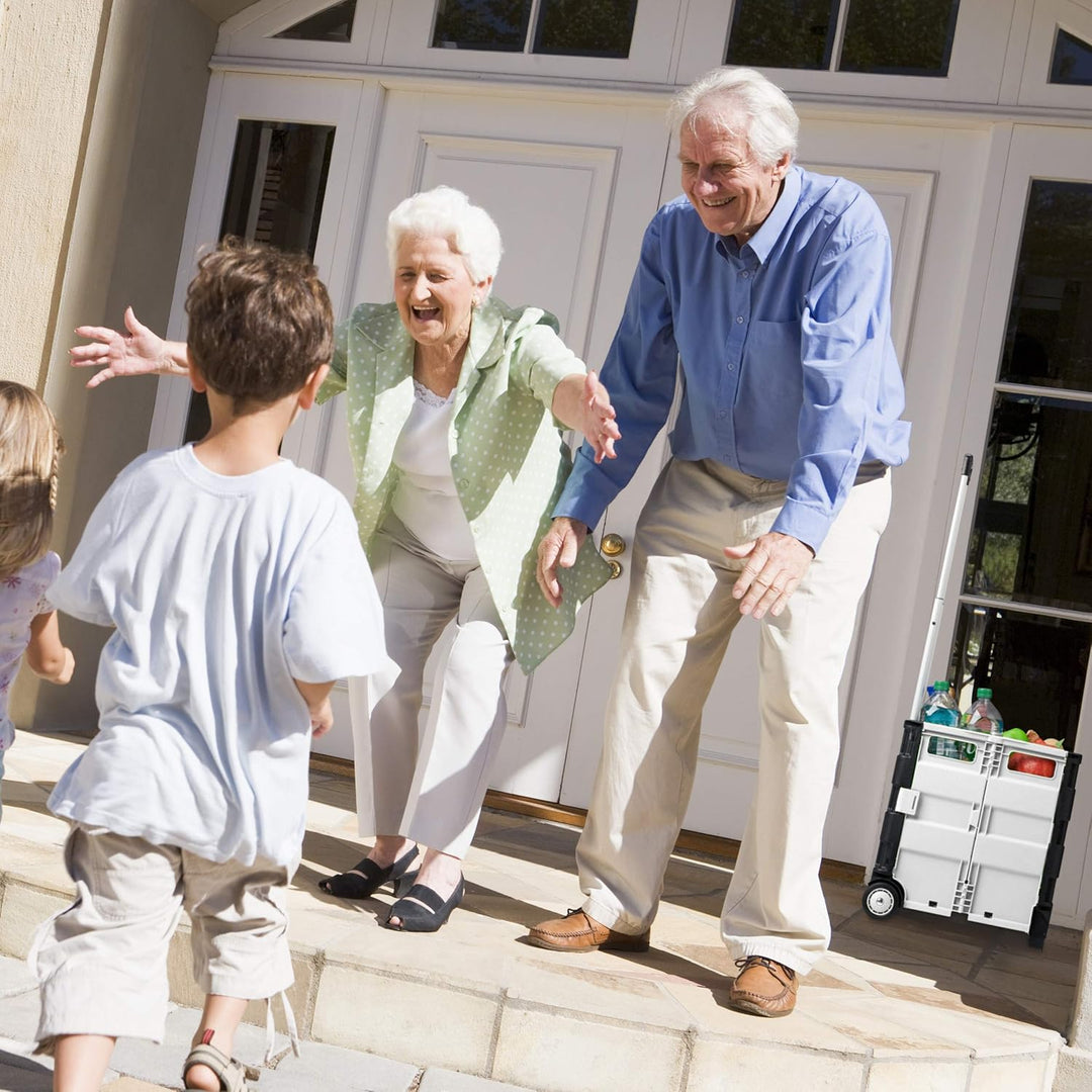 Relaxdays Einkaufstrolley klappbar, mit Teleskopgriff, Rollen, Transporttrolley bis 35 kg, 50 Liter