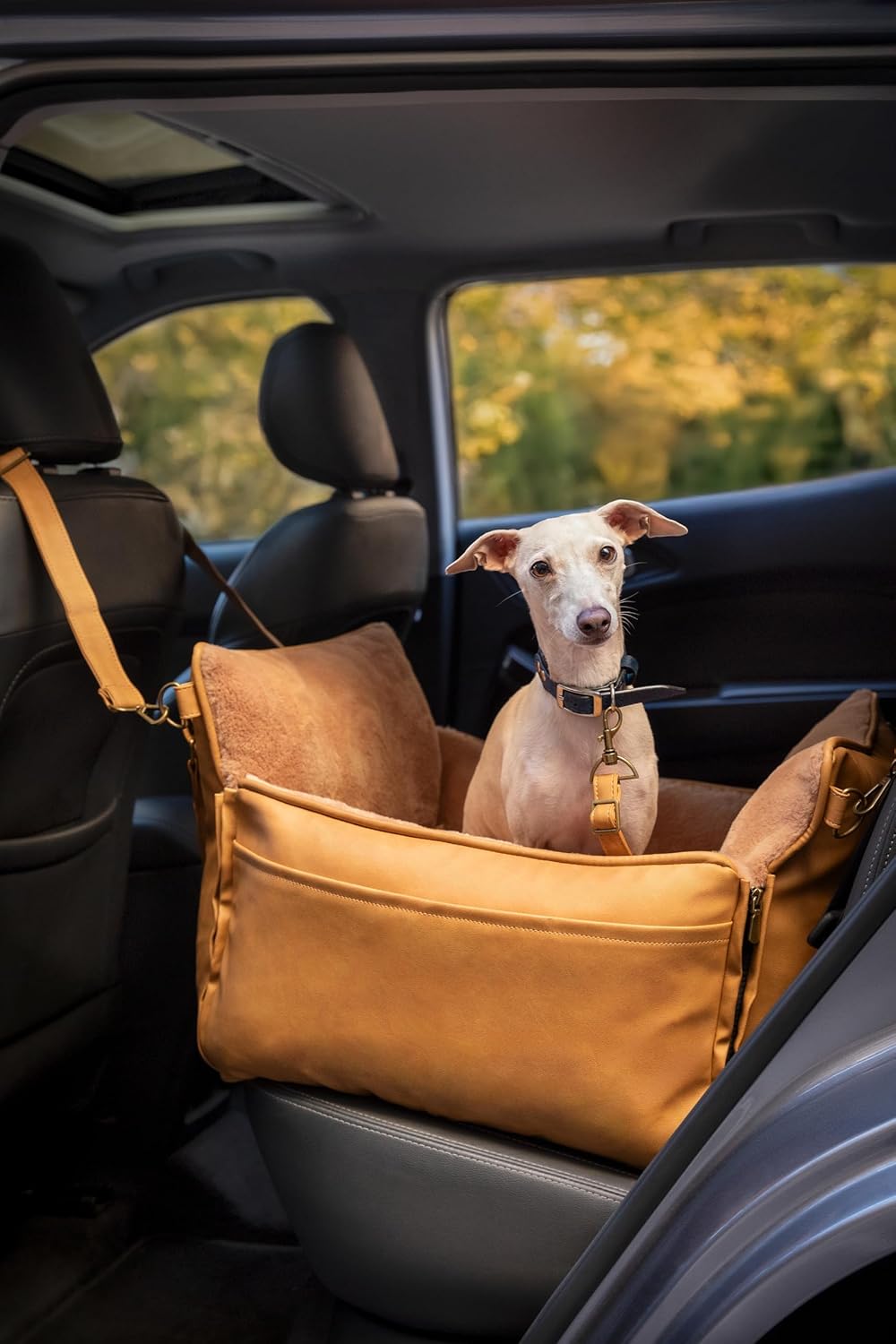Noah & Paw Siège Auto für Hund, siège klein Hund und Tiere klein à mittel Grösse mit Clip harnais, S