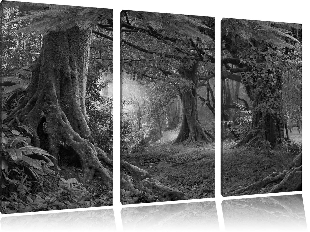 Pixxprint Dschungel im Regenwald als Leinwandbild/Grösse: 3 Teilig (120x80 cm) cm/Wandbild/Kunstdruc