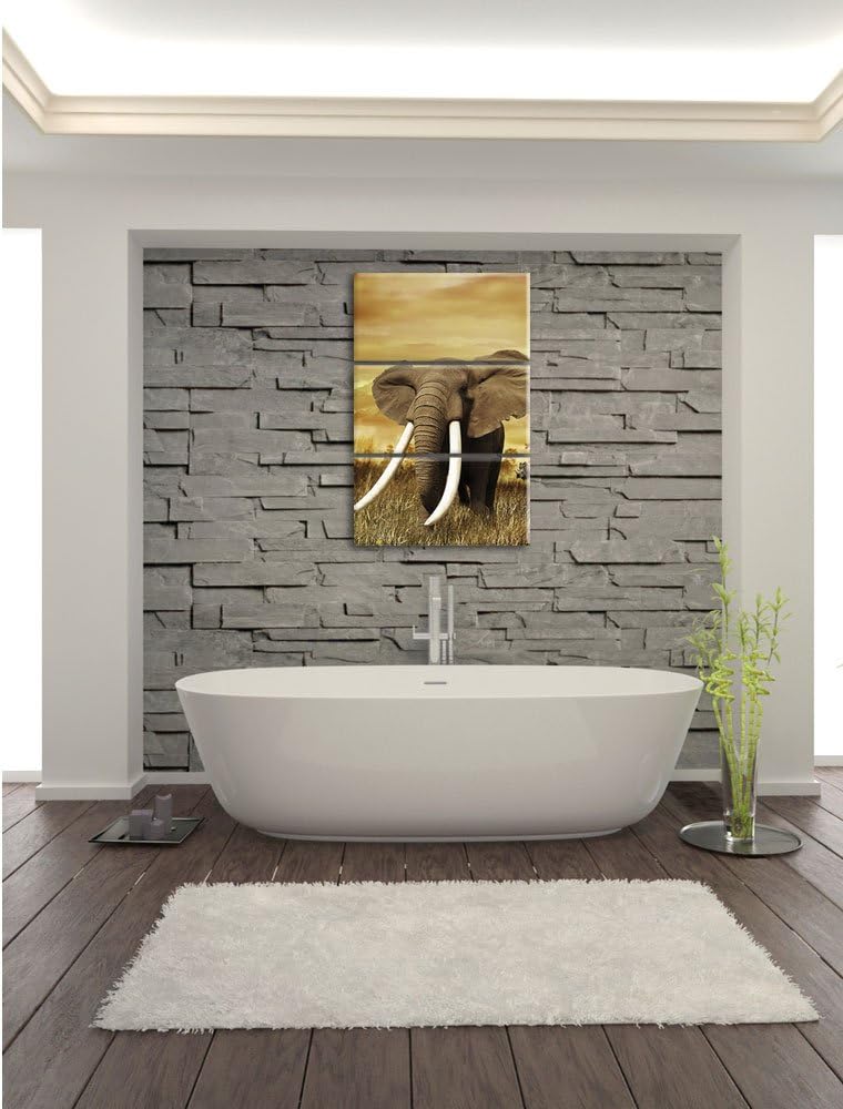 Pixxprint Stolzer Elefant in Savanne als Leinwandbild/Grösse: 3 Teilig (120x80) cm/Wandbild/Kunstdru