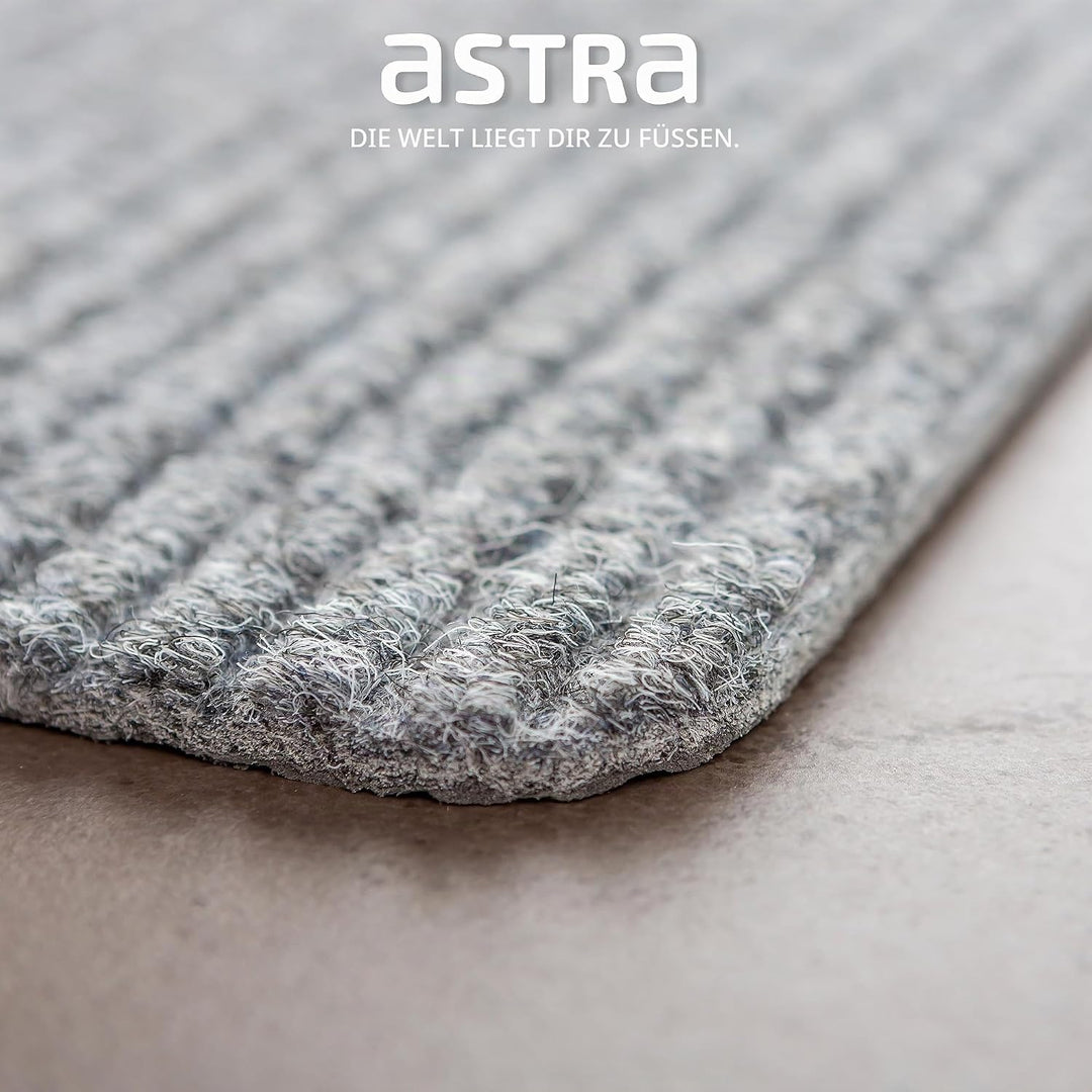 Astra Fussmatte innen Silber Schmutzfangmatte rutschfest – Türmatte 40x60 cm wasserabweisend – Rib L