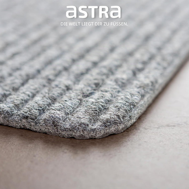 Astra Fussmatte innen Silber Schmutzfangmatte rutschfest – Türmatte 40x60 cm wasserabweisend – Rib L