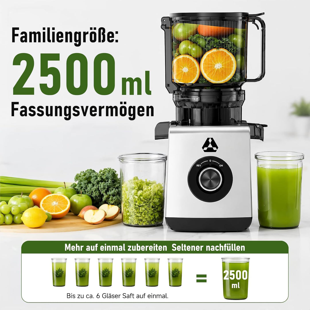 AAOBOSI Entsafter Slow Juicer 600W mit 165 mm extragrosser Einfüllöffnung Silbergrau 165MM, Silbergr