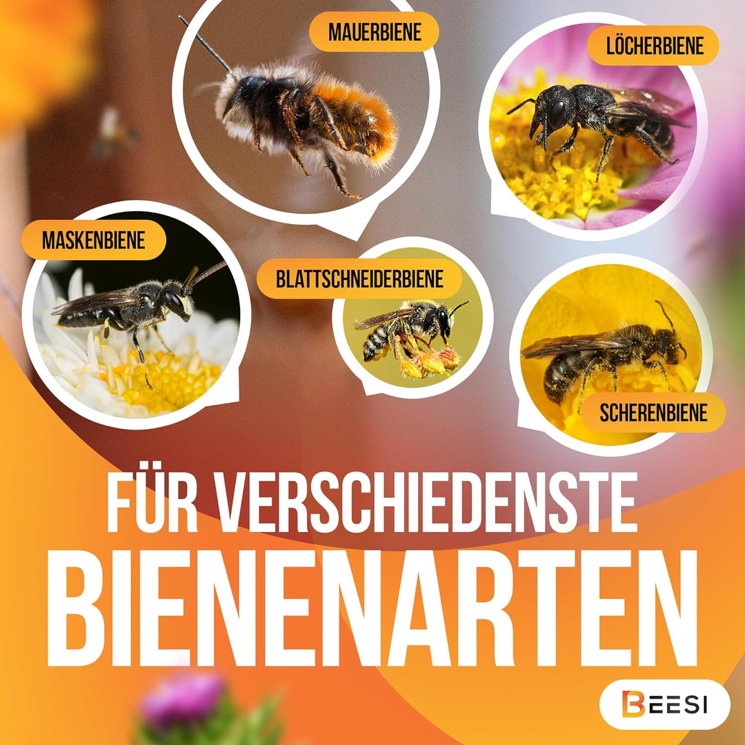 BEESI 500x Bambusgras für Insektenhotel I 14 cm Länge I 3-7mm ⌀ I Füllmaterial Bienenhotel, Wildbien