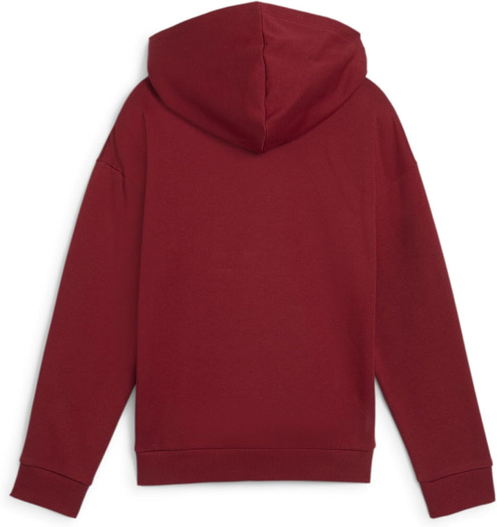 PUMA Mädchen ESS+ Script Metallic Hoodie FL Sweat 176 Intensive Rot-goldfolie, 176 Intensive Rot-gol