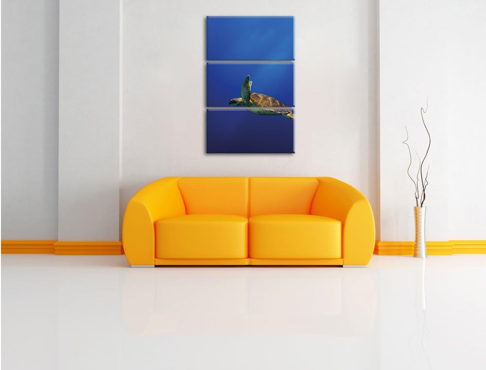 Pixxprint Schildkröte im Meer als Leinwandbild/Grösse: 3 Teilig (120x80) cm/Wandbild/Kunstdruck/fert